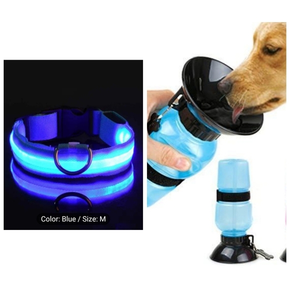 🆕️ High visibility collar and portable watering bottle - Picture 1 of 13